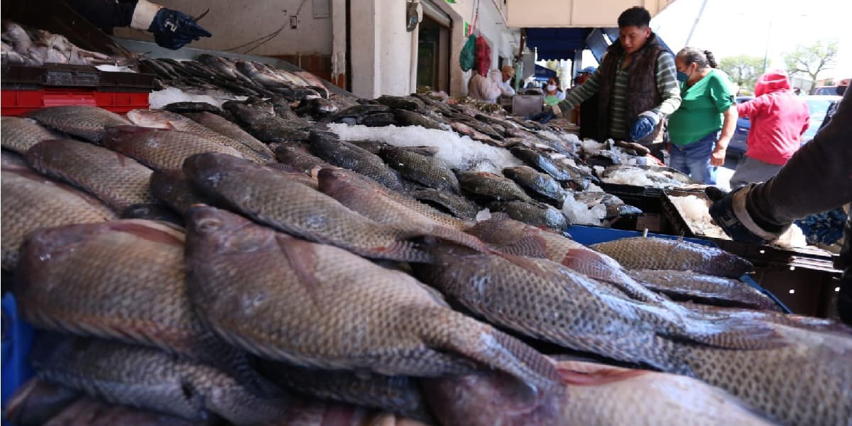 ¿Qué pescados y mariscos son más baratos esta temporada? | El Imparcial de Oaxaca
