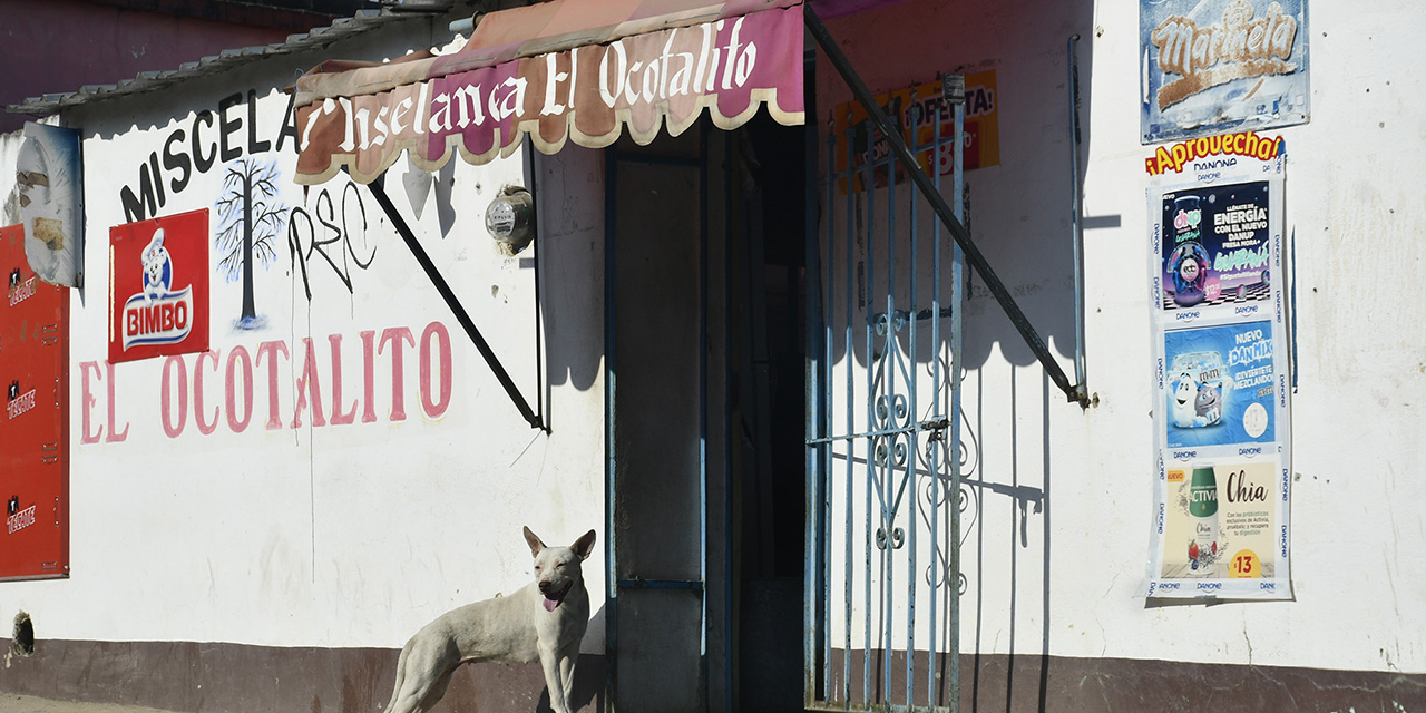 Tienditas, al límite: deudas, carestía y bajas ventas | El Imparcial de Oaxaca