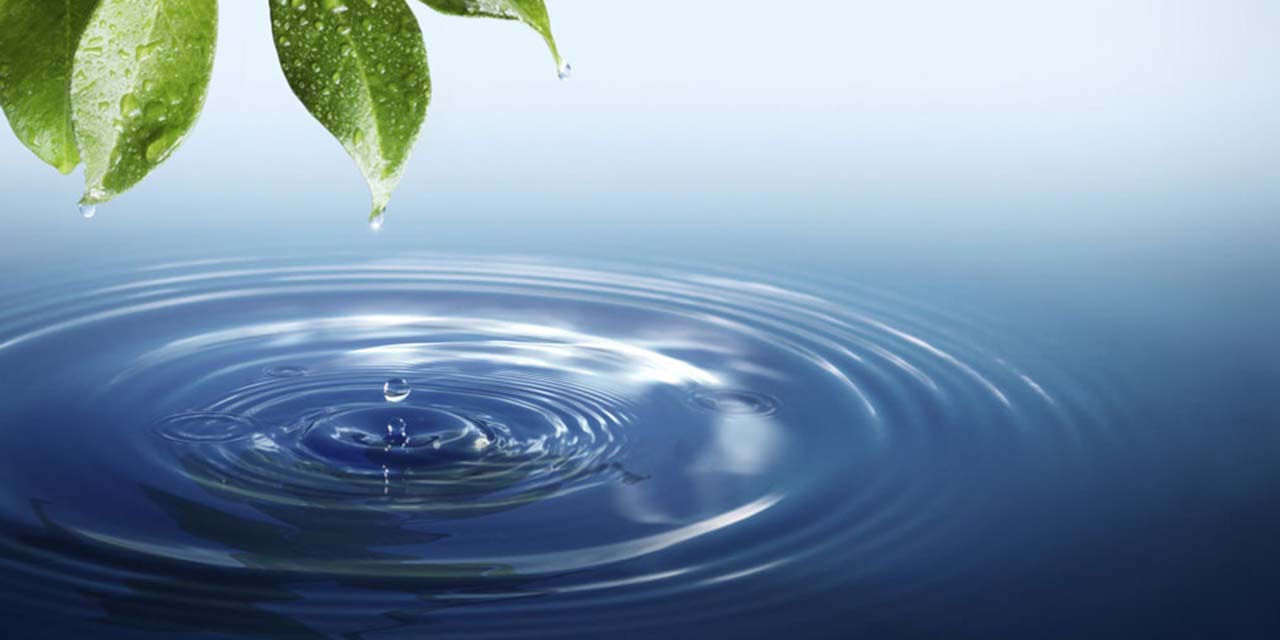 Se puede sobrevivir sin amor, pero no sin agua