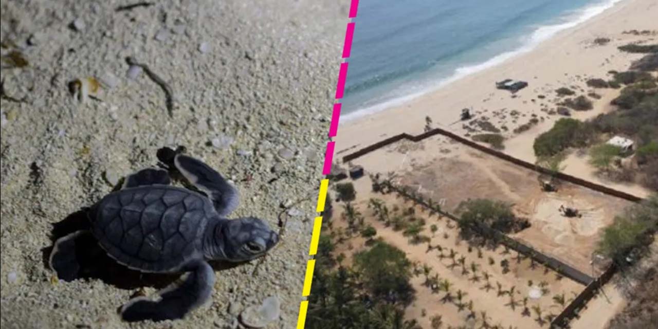 Llaman ciudadanos a salvar Playa Bacocho | El Imparcial de Oaxaca