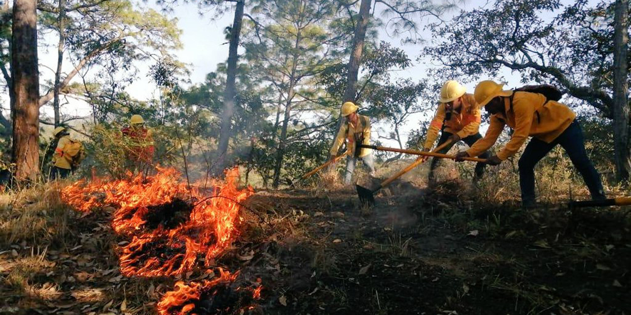 Cumple 17 días incendio forestal en Los Chimalapas | El Imparcial de Oaxaca
