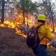 Niegan salarios a brigadistas forestales; combaten incendios