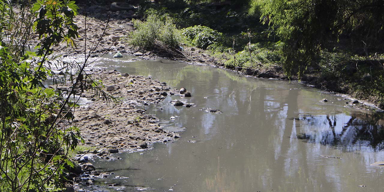 Maquillan saneamiento de ríos Atoyac y Salado: LEI | El Imparcial de Oaxaca