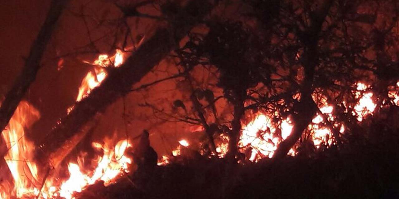 Incendios destruyen bosques de 5 pueblos | El Imparcial de Oaxaca