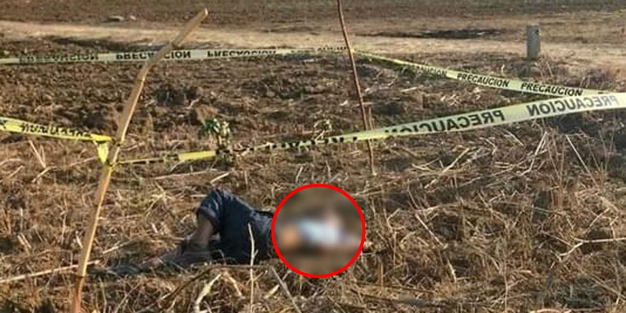 Encuentran el cadáver de masculino en terreno | El Imparcial de Oaxaca