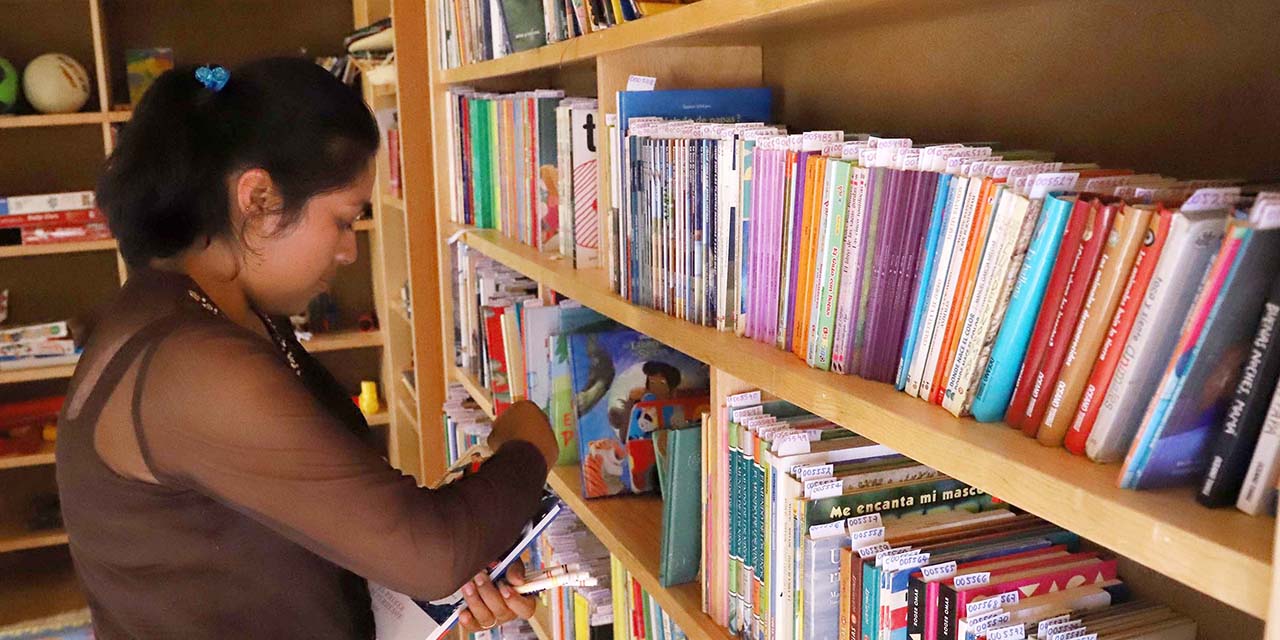 Libros, bibliotecas y lectores, damnificados por la pandemia | El Imparcial de Oaxaca