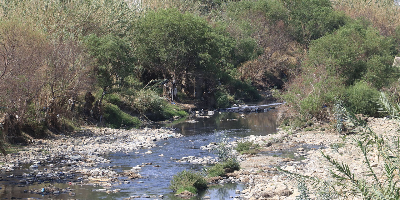 El Atoyac y Salado, ríos muertos para la capital | El Imparcial de Oaxaca