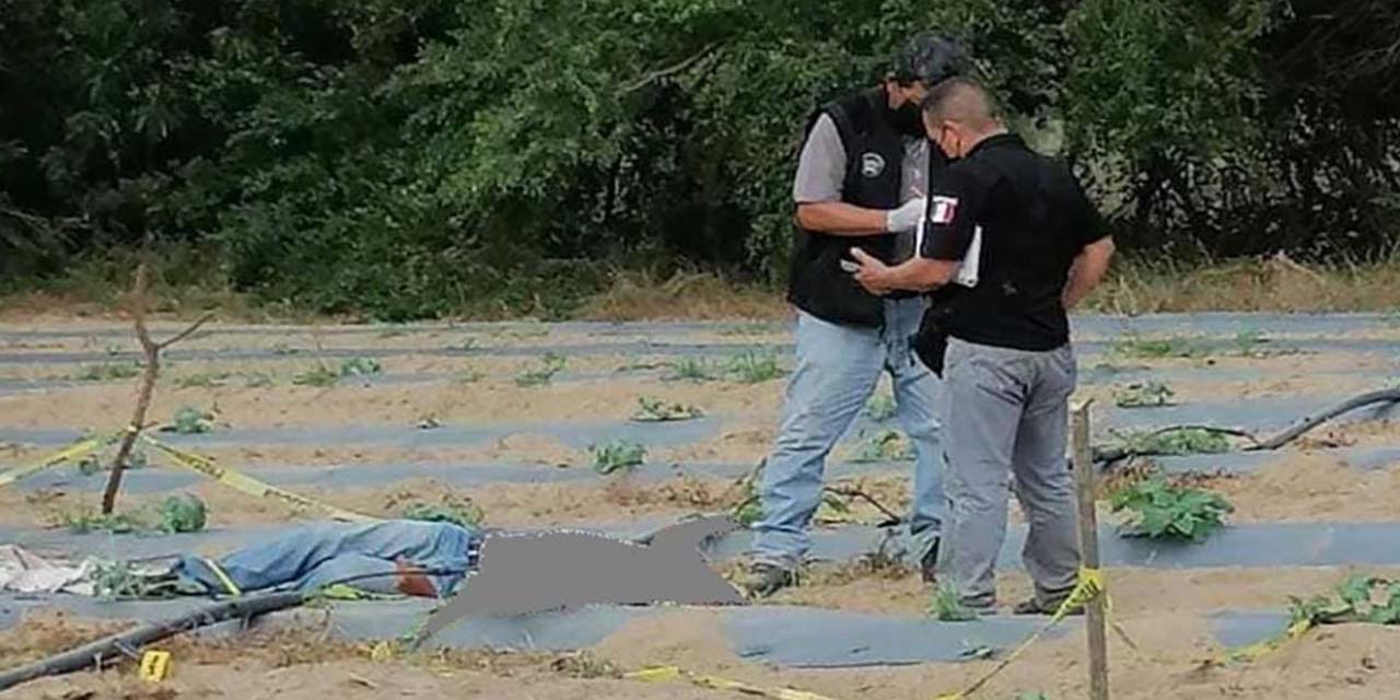Hallan muerto a agricultor; presentaba impactos de arma de fuego | El Imparcial de Oaxaca