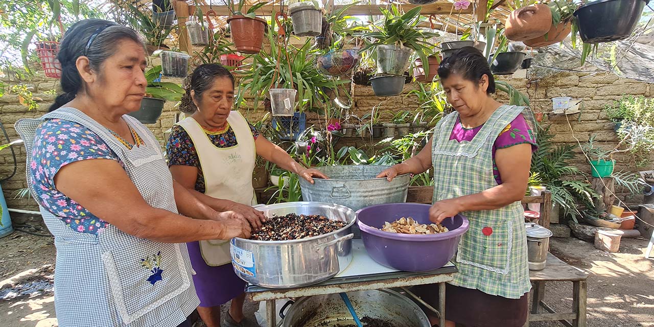 El mole oaxaqueño, una “Guelaguetza de sabores” | El Imparcial de Oaxaca