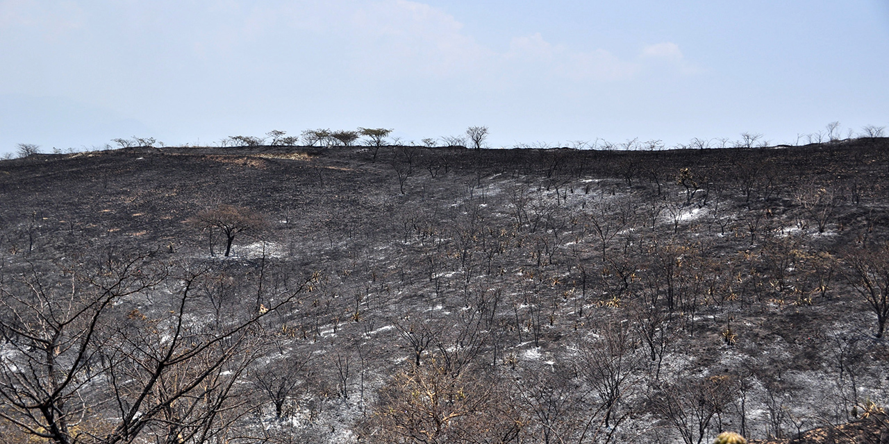 Propietarios de la tierra, los que combaten 60% de incendios | El Imparcial de Oaxaca