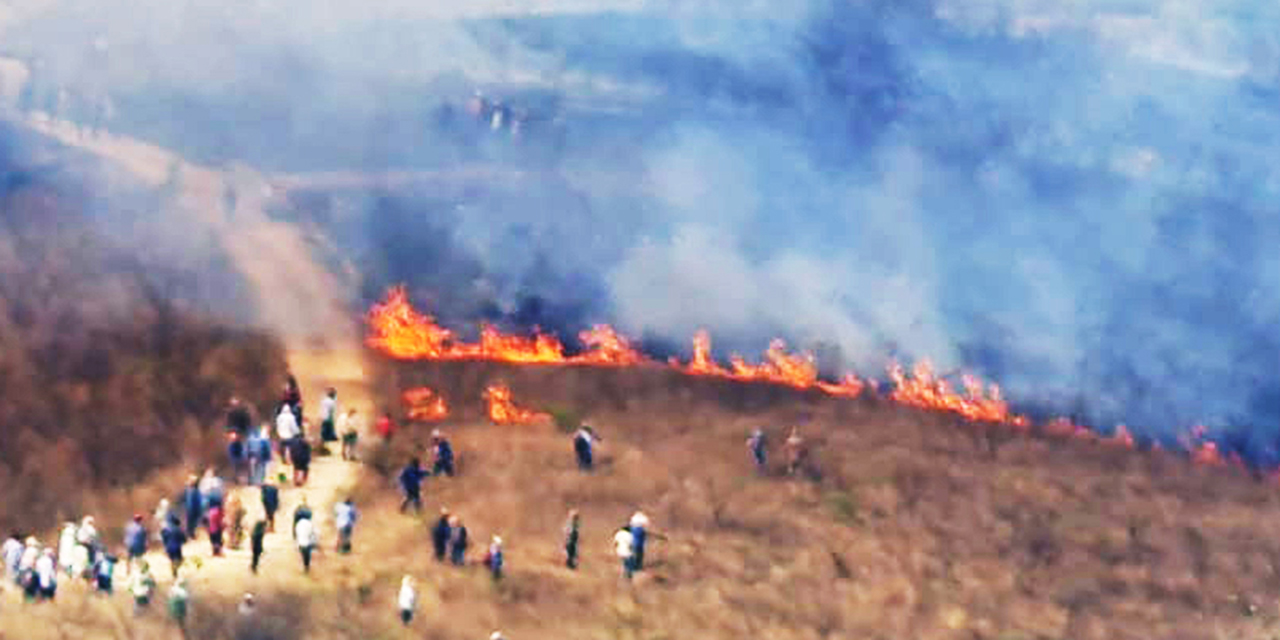Piden atender emergencia por incendios forestales | El Imparcial de Oaxaca