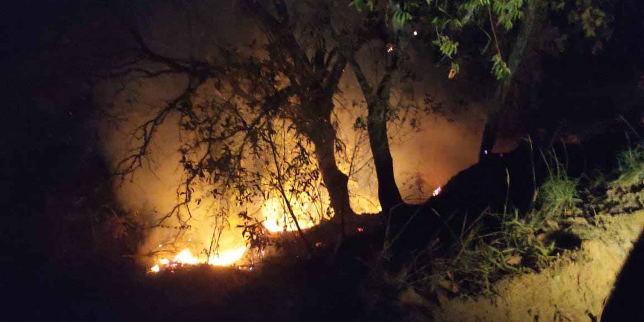 Sofocan incendio en San Mateo Piñas | El Imparcial de Oaxaca