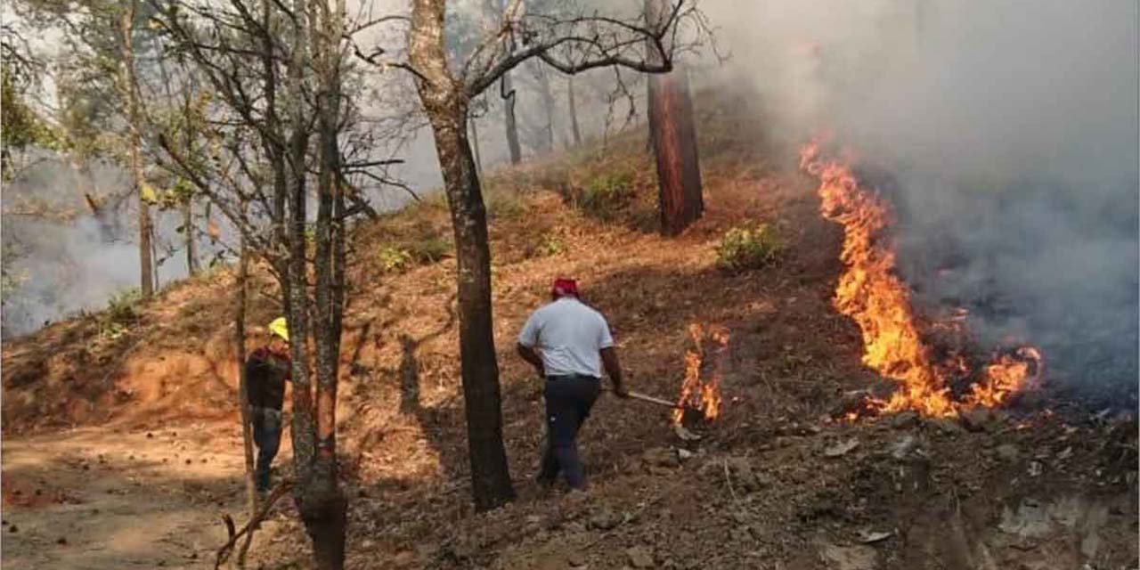 Piden ayuda para apagar los incendios en los Chimalapas | El Imparcial de Oaxaca