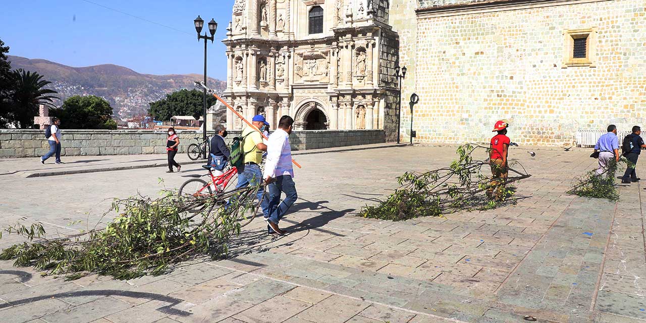Exhiben activistas a regidor “fantasma” de medio ambiente | El Imparcial de Oaxaca
