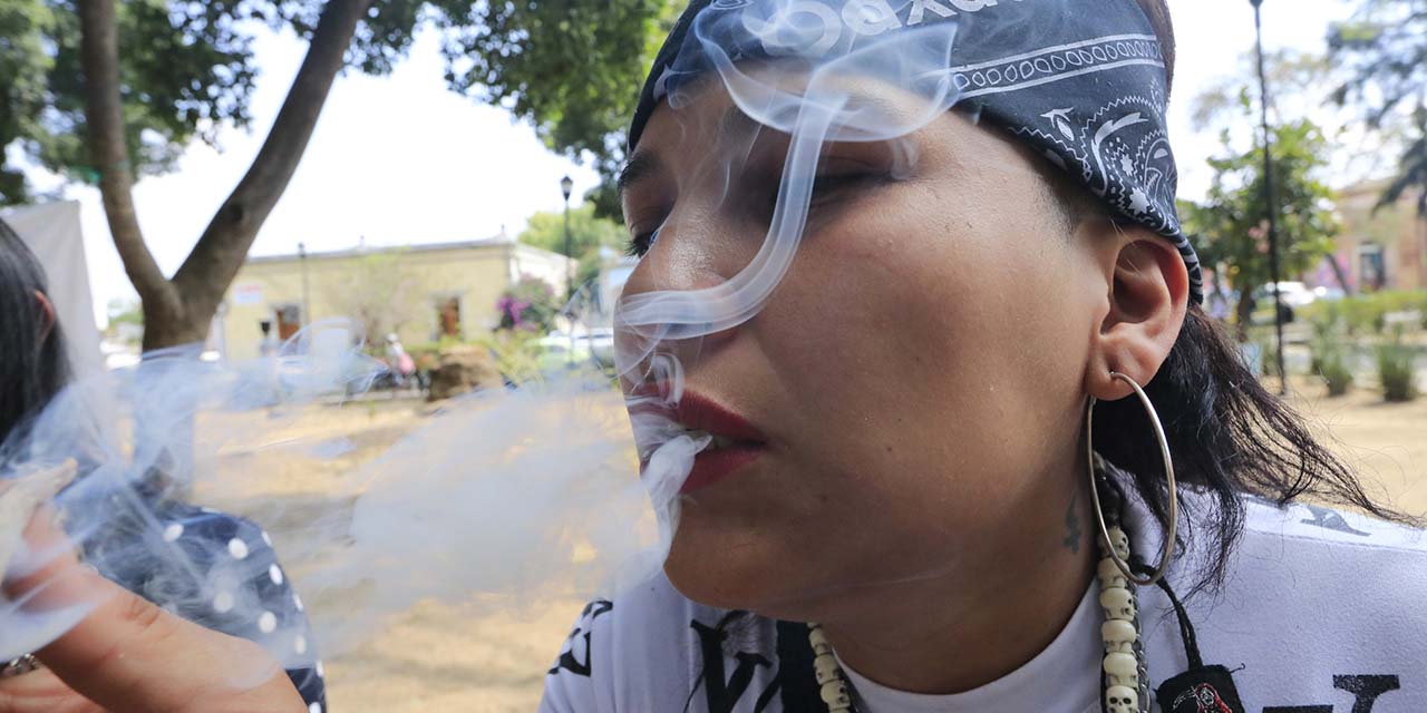 Siempre sí; van por reglamento para uso de mariguana en calles | El Imparcial de Oaxaca