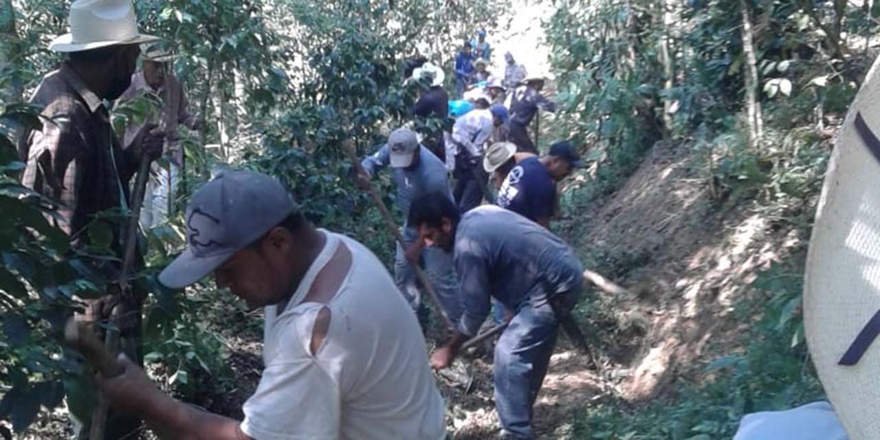 Realizan tercera faena de limpieza en Col. Loma de Berbel, en Huautla | El Imparcial de Oaxaca