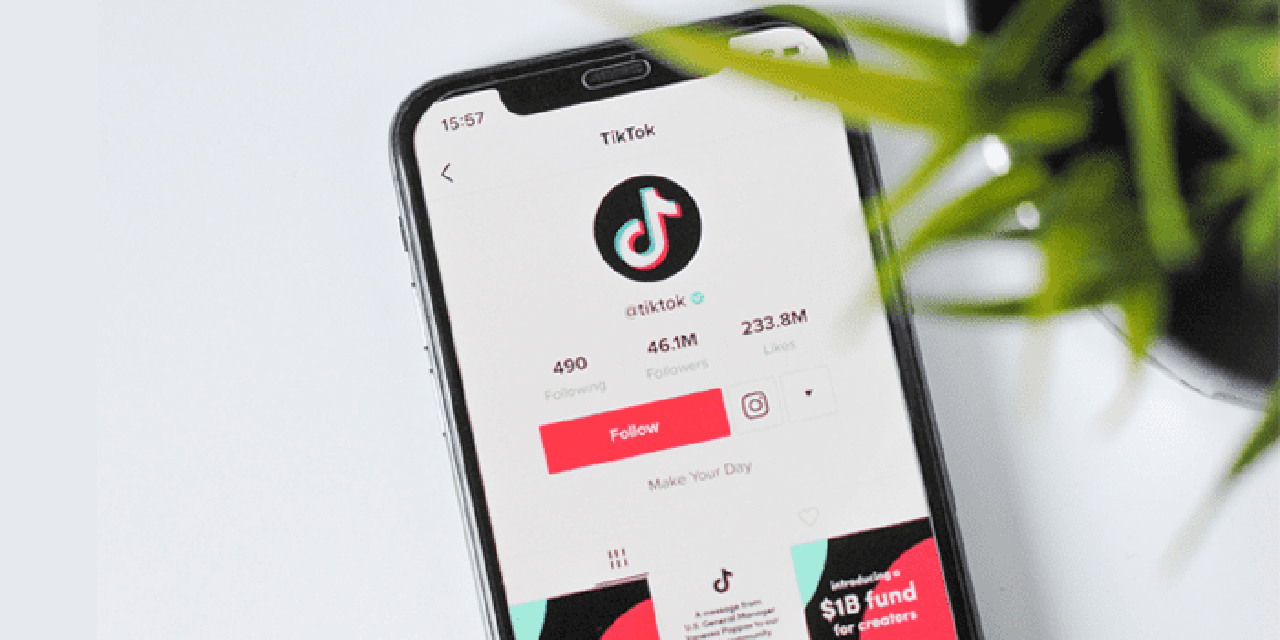 SmallTik: ¿La mejor aplicación para bajar videos de TikTok?