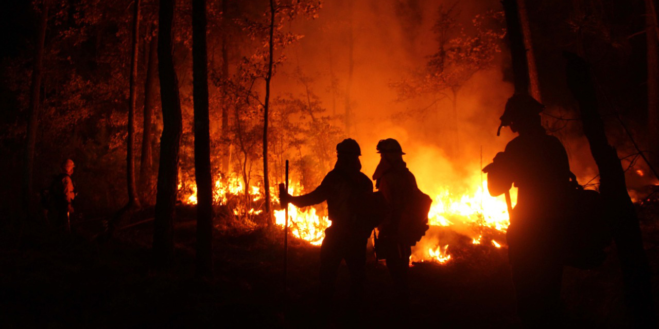 Arden bosques oaxaqueños; 3 mil 105 hectáreas afectadas | El Imparcial de Oaxaca