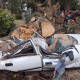 VIDEO: Cae árbol en El Llano sobre tres automóviles; no hay heridos