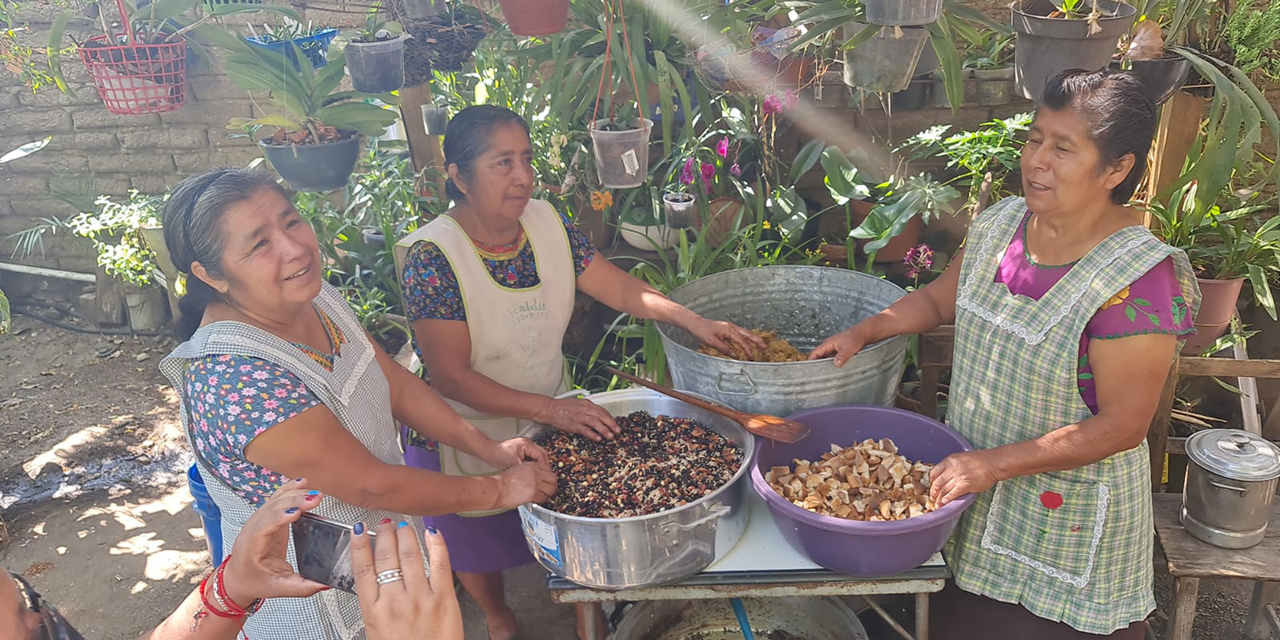 Cocineras tradicionales se preparan con gusto para encuentro gastronómico | El Imparcial de Oaxaca