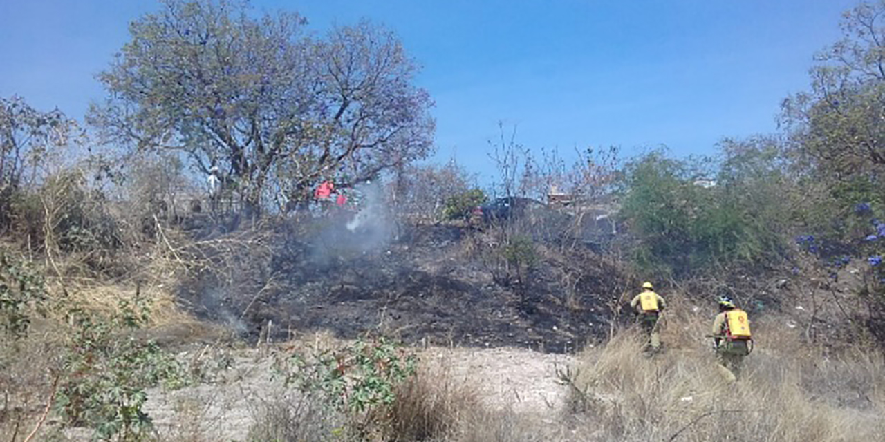 Se incendian pastizales en carretera a Mariscala | El Imparcial de Oaxaca