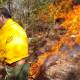 Incendio forestal cobra la vida de cuatro personas