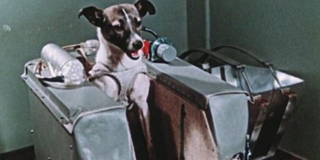 La historia de Laika, la perrita que viajó al espacio en la nave Sputnik 2 | El Imparcial de Oaxaca