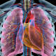 ¿Cómo cuidar tus pulmones?
