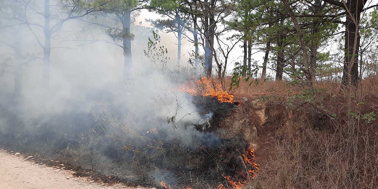 Siguen activos tres incendios forestales en Oaxaca | El Imparcial de Oaxaca