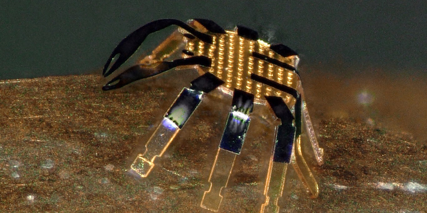 El robot más pequeño del mundo tiene forma de cangrejo | El Imparcial de Oaxaca