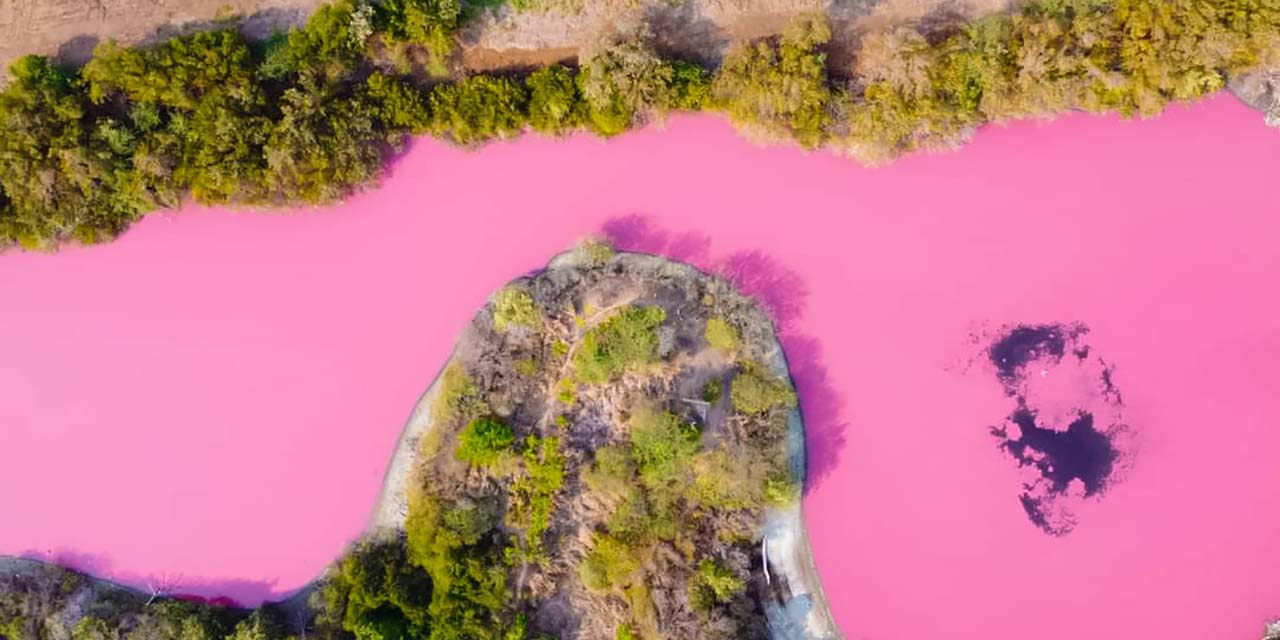En Escobilla la laguna “La Salina” se puso Rosa | El Imparcial de Oaxaca