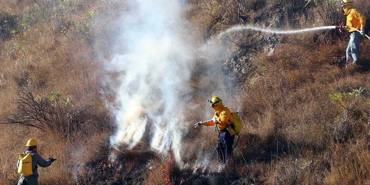 Pegan incendios a 7 mil 884 hectáreas en Oaxaca | El Imparcial de Oaxaca
