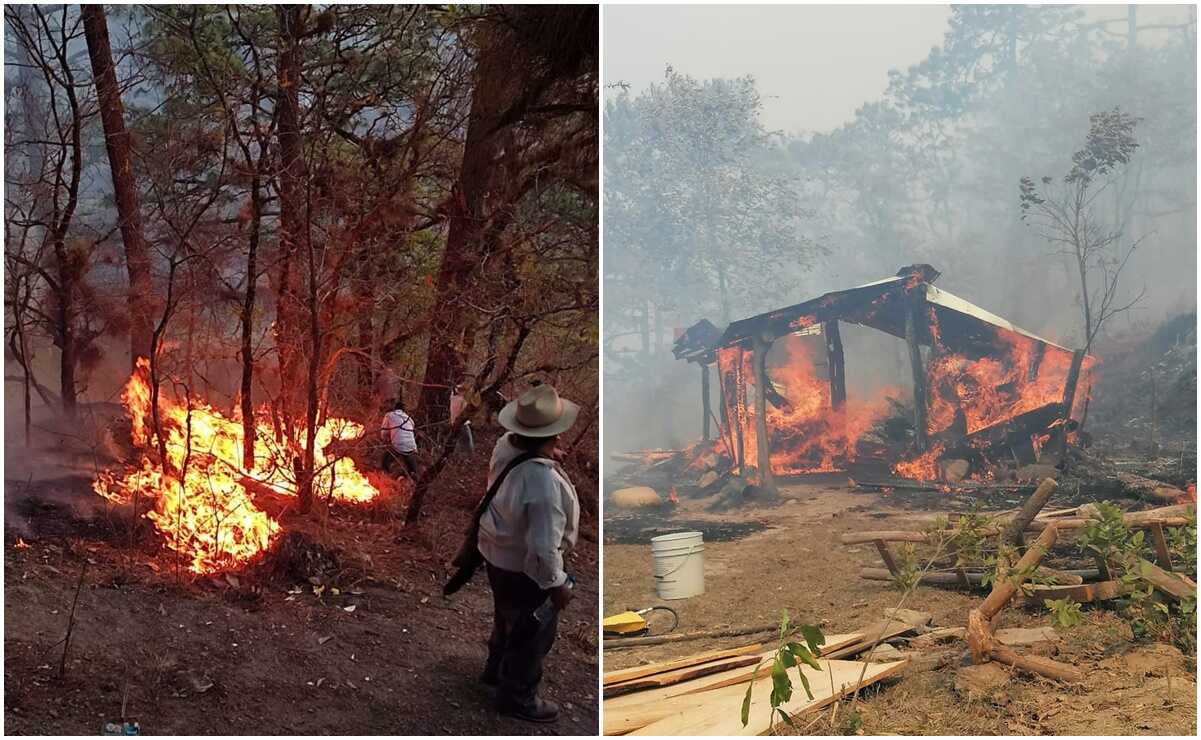 Fuego ha consumido más de 129 mil htas  | El Imparcial de Oaxaca