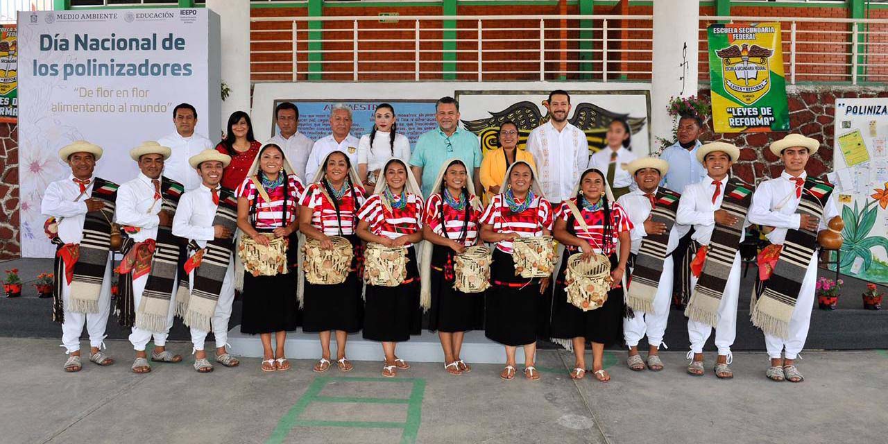 Celebran escolares de Tlaxiaco, IEEPO, SEP y Semarnat Día Nacional de los Polinizadores | El Imparcial de Oaxaca
