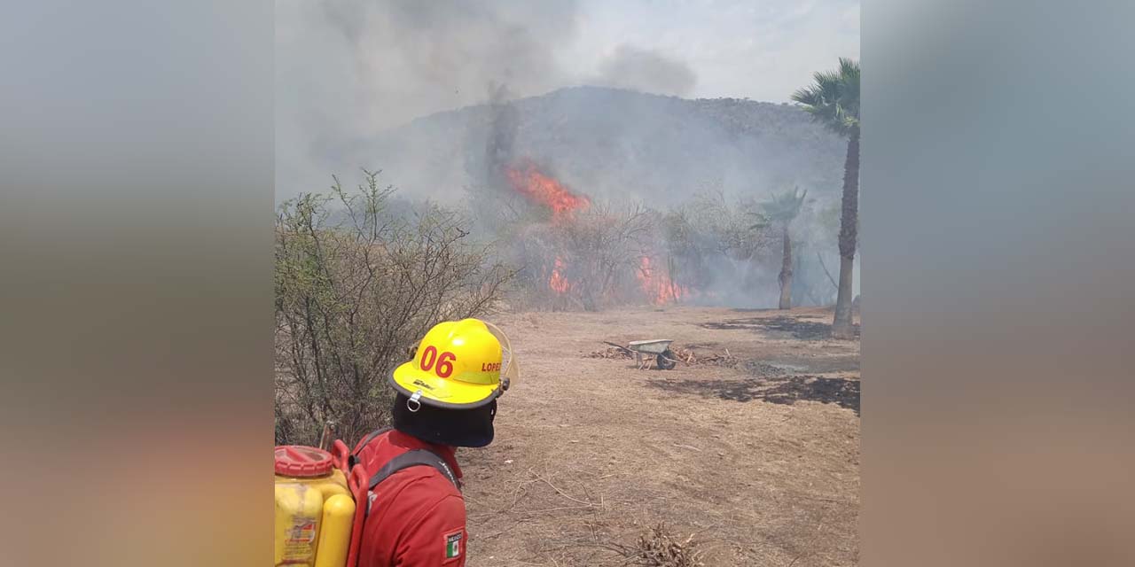 Siguen imparables los incendios forestales | El Imparcial de Oaxaca