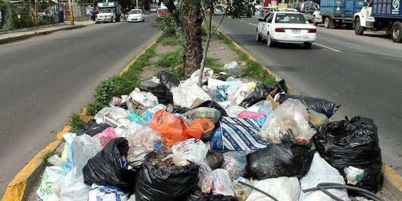 Anuncian multa por tirar y quemar basura en la calles de Salina Cruz | El Imparcial de Oaxaca