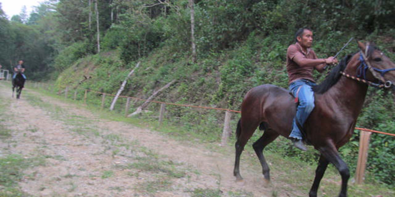Piden nueva pista de carreras de caballos para Huautla | El Imparcial de Oaxaca