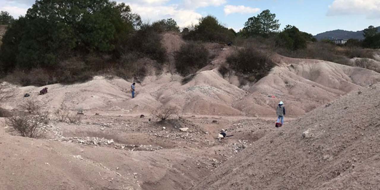 Hallan fósil de hace 30 millones de años en Santiago Yolomécatl | El Imparcial de Oaxaca