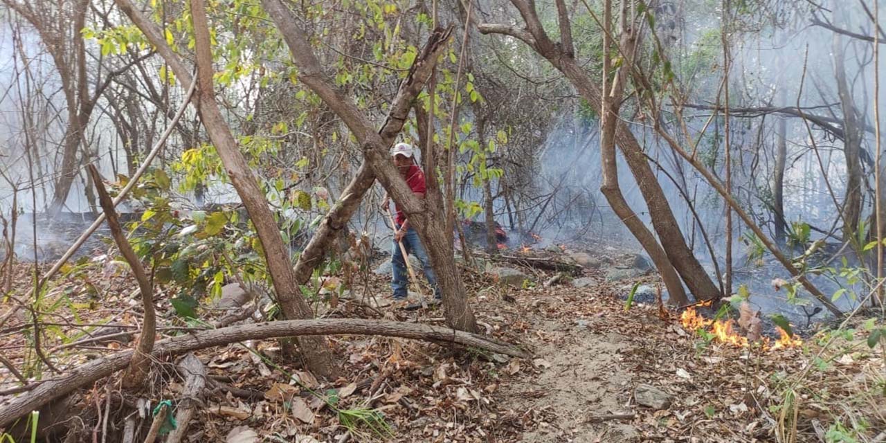 Sofocan incendio en Figueroa, Pochutla | El Imparcial de Oaxaca