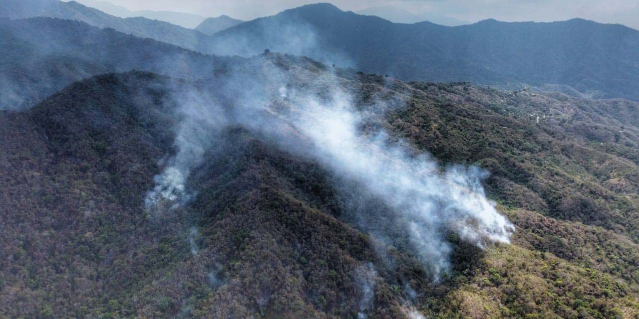 Incendio acaba con 460 hectáreas de Pochutla | El Imparcial de Oaxaca