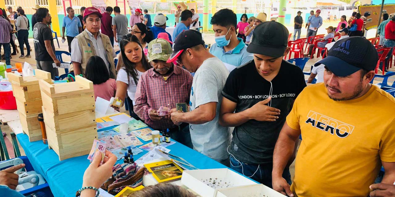 Realizan 1er encuentro de apicultores en San Miguel Reyes | El Imparcial de Oaxaca