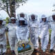 Más de 2,5 millones de abejas salvadas gracias a una iniciativa en Guatemala