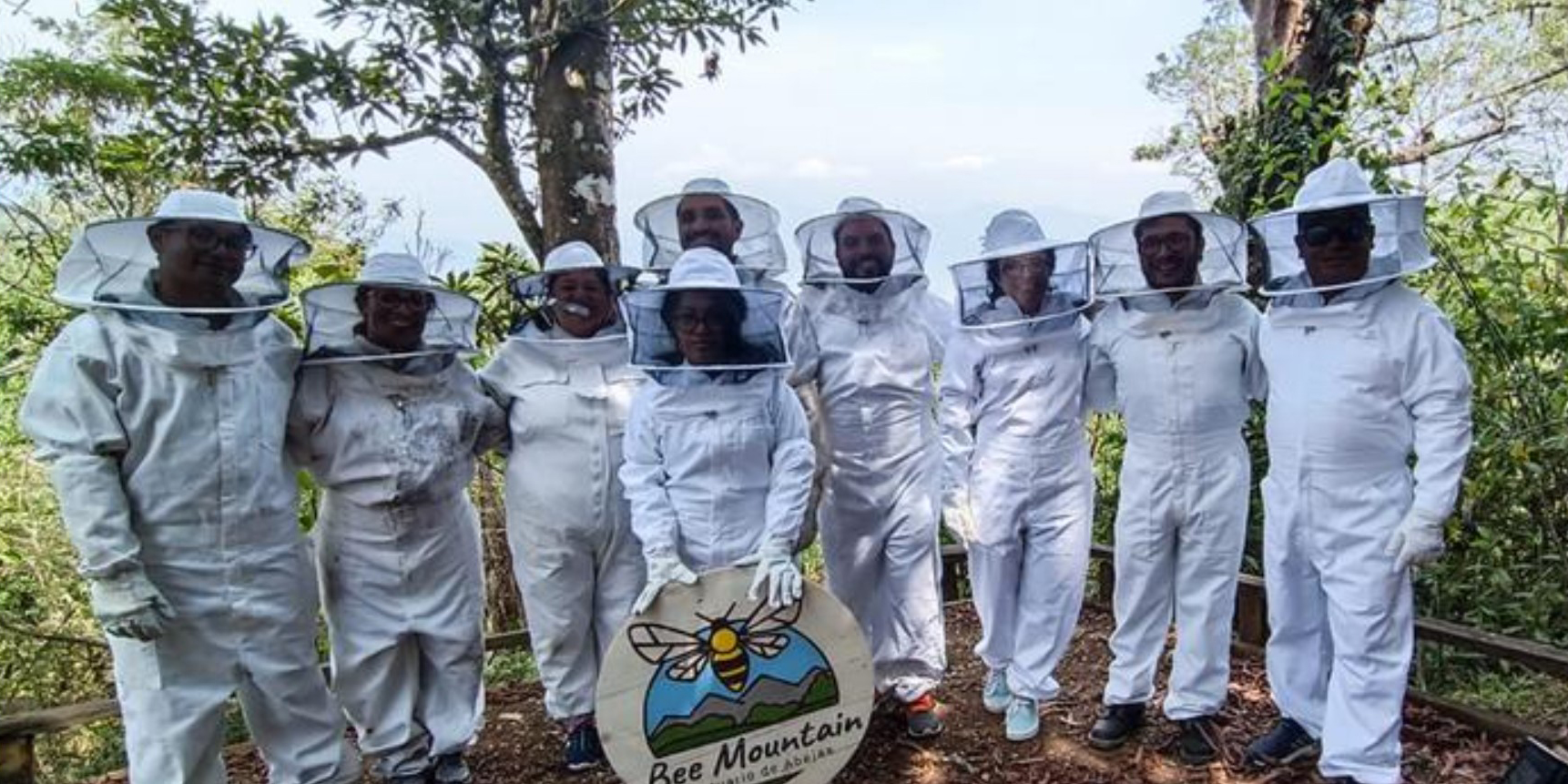 Más de 2,5 millones de abejas salvadas gracias a una iniciativa en Guatemala | El Imparcial de Oaxaca