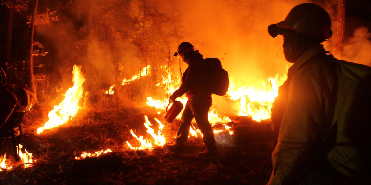 Arde Oaxaca; se registran seis incendios forestales | El Imparcial de Oaxaca