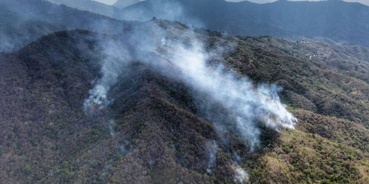 Incendio acaba con flora y fauna en Benito Juárez, Pochutla | El Imparcial de Oaxaca