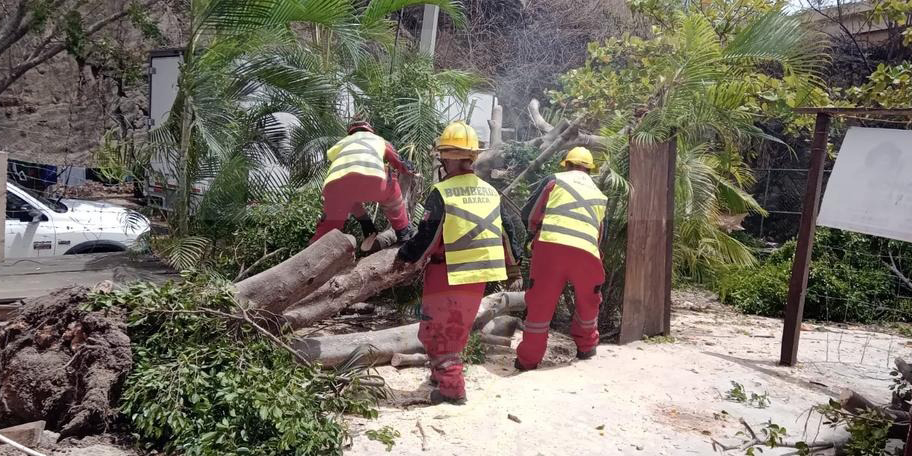 Caída de árboles movilizan a los bomberos de Huatulco | El Imparcial de Oaxaca
