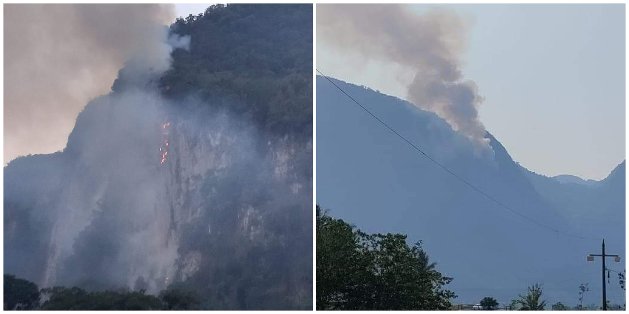 Urgen apoyo aéreo para combatir incendio forestal en Cerro Rabón | El Imparcial de Oaxaca