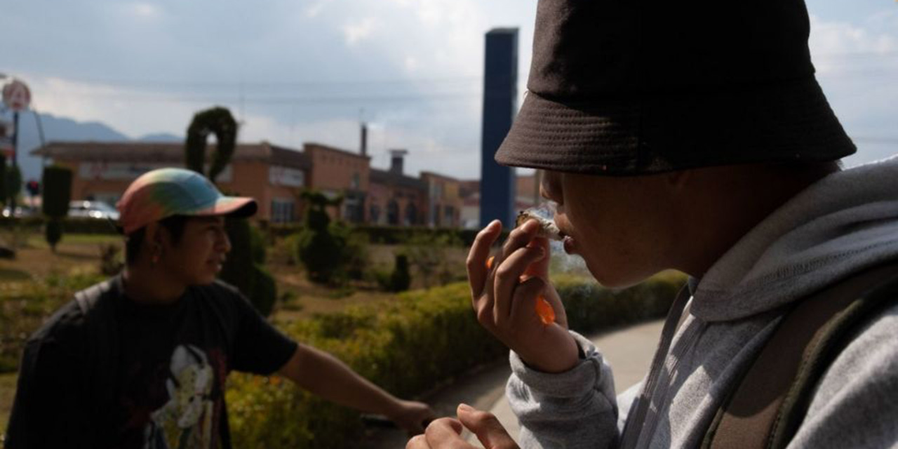 Consumo de marihuana sí afecta la mente de las personas, nuevo estudio lo confirma | El Imparcial de Oaxaca