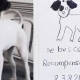 Niñas encuentran a su perrito extraviado; ofrecían recompensa de 20 pesos en cartel hecho a mano
