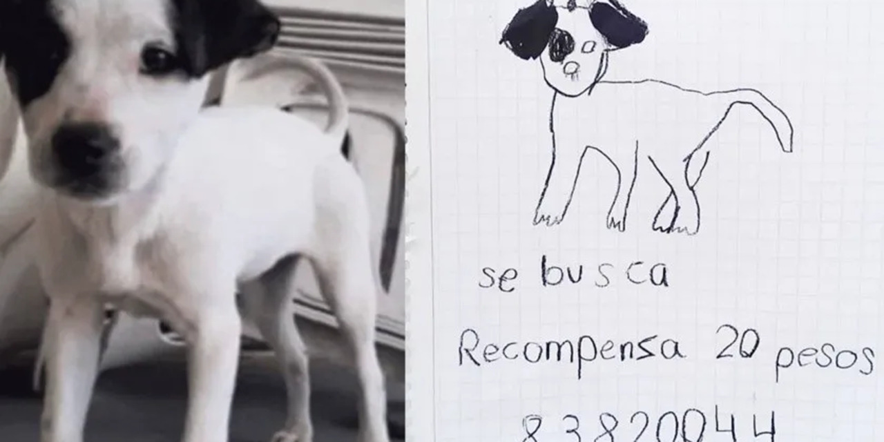 Niñas encuentran a su perrito extraviado; ofrecían recompensa de 20 pesos en cartel hecho a mano | El Imparcial de Oaxaca